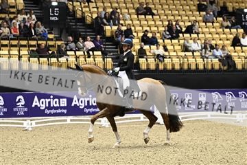 182194_kbb_03_Z090229.JPG
