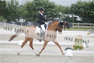 166078_rhj_01__J7R4266.JPG