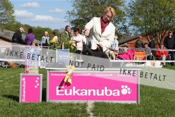 134871_ms_02_IMG_3891.JPG