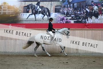 181887_mtp_02_R62_7455.JPG