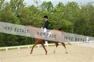 139835_sg_01_IMG_7376.JPG