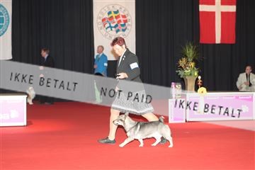 126827_tl_02_IMG_3138.JPG