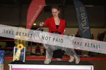 133496_ms_01_IMG_9308.JPG