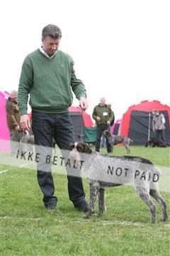 134871_ms_04_IMG_9940.JPG