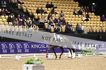 182194_kbb_03_Z090533.JPG