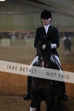 139206_kl_1_8M1Q5289.JPG