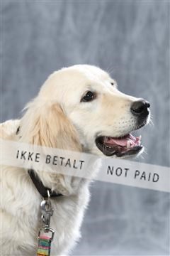 128239_le_ 06_0009.JPG