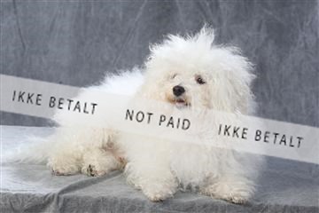 130054_le_ 01_0239.JPG