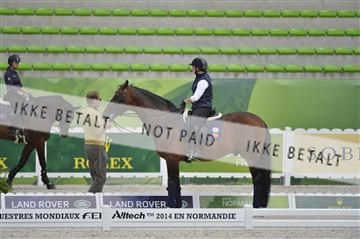 144462_bc_06__BC11316.JPG