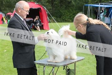 130370_tl_02_IMG_7714.JPG