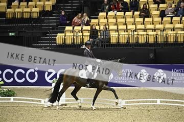 182194_kbb_01_Z096194.JPG