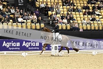 182194_kbb_03_Z090952.JPG