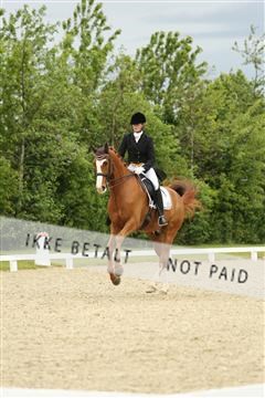 139835_sg_01_IMG_7386.JPG