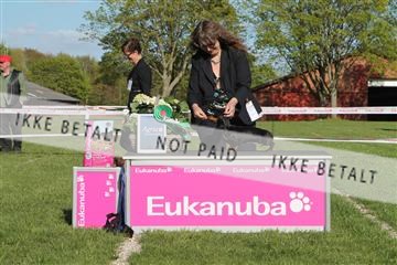 134871_ms_03_IMG_0329.JPG