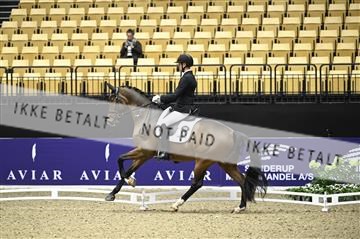 182194_kbb_02_Z097899.JPG