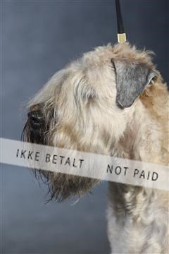 132082_le_ 01_IMG_1033.JPG