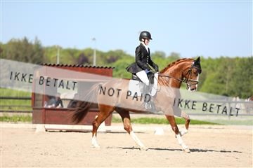 168732_mtp_01_3M5A8474.JPG