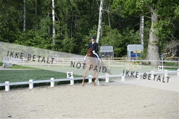 139898_ms_02__MS28743.JPG