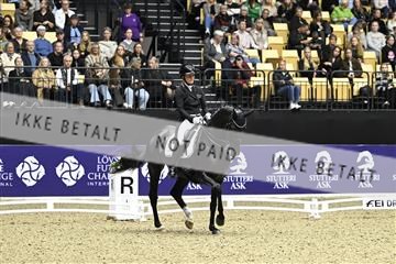 182194_kbb_03_Z092269.JPG