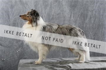 129608_le_ 01_0904.JPG