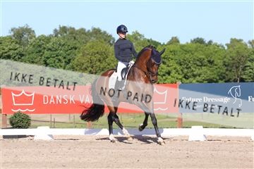 181449_bc_01R62_6199.JPG