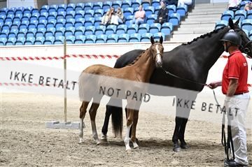 181754_kbb_01_Z094030.JPG