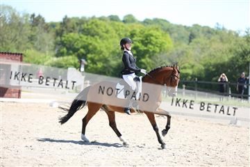 168732_mtp_01_3M5A6839.JPG