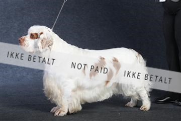 132082_le_ 01_IMG_0997.JPG