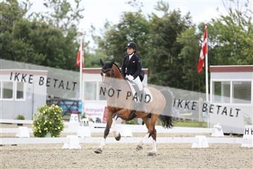 156196_nn_01_IMG_5349.JPG
