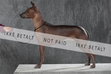 130054_le_ 03_0220.JPG