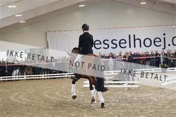 174363_kbb_01_R6II8077.JPG