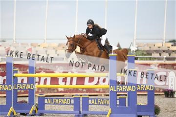 152762_nn _05_IMG_7575.JPG