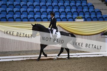 139403_ms_01__MS18675.JPG