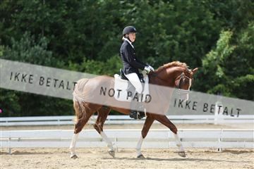 156196_nn_01_IMG_6294.JPG