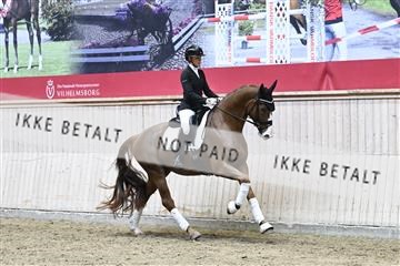 182241_kbb_01_Z094274.JPG