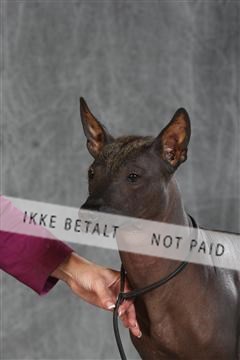 130054_le_ 03_0291.JPG