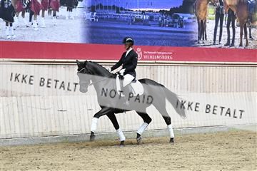 182241_kbb_01_Z094533.JPG