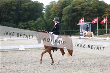 181894_mtp_01_R62_0627.JPG