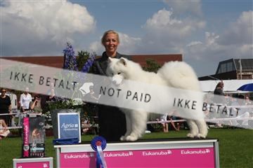 130370_se_03_IMG_7690.JPG