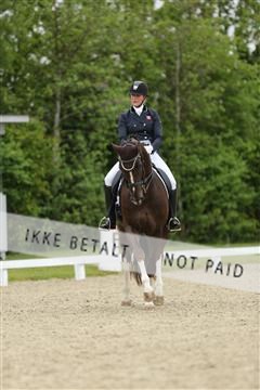 139835_sg_01_IMG_7981.JPG