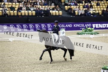 182194_avh_05_2475.JPG