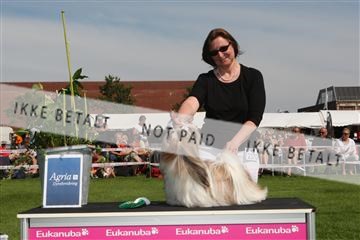 130370_se_02_IMG_6374.JPG