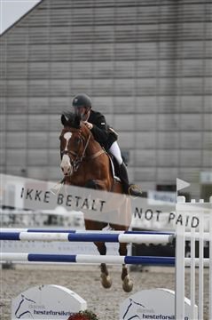 152762_nn _05_IMG_7770.JPG