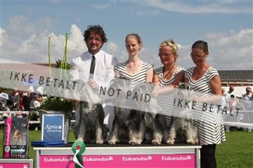 130370_se_03_IMG_7631.JPG
