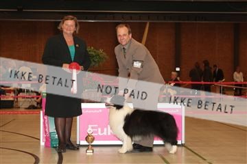 124188 _tl_02_IMG_9314.JPG