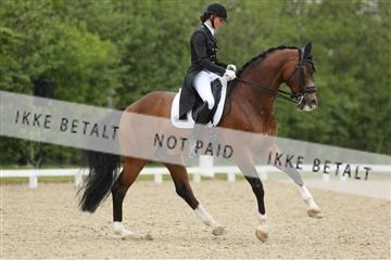 139835_sg_01_IMG_8244.JPG