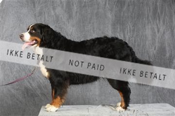 130054_le_ 03_0332.JPG