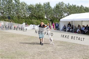 181848_kar_01__62_3810.JPG