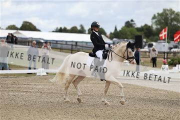 181894_mtp_02_R62_1094.JPG