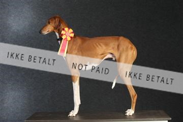 132082_le_ 01_IMG_0071.JPG